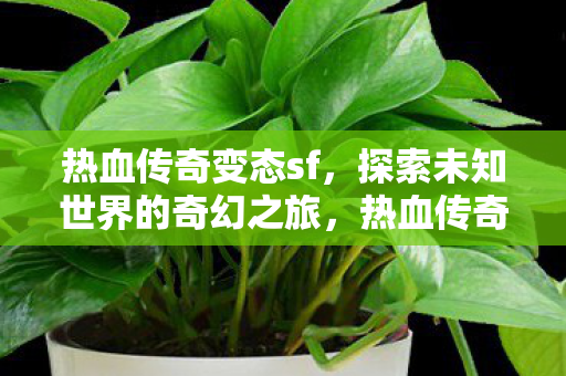 探索未知世界的奇幻之旅图片