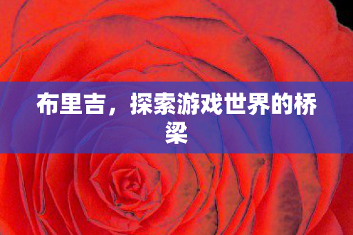 探索游戏世界的桥梁图片