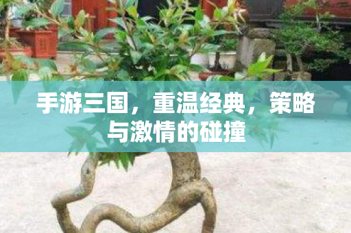 策略与激情的碰撞图片
