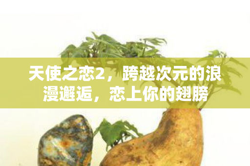 跨越次元的浪漫邂逅图片