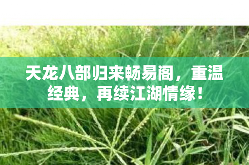 天龙八部归来畅易阁图片