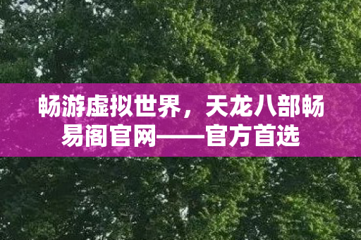 天龙八部畅易阁官网图片