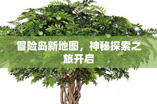 神秘探索之旅开启图片