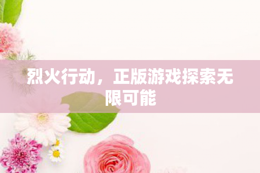 正版游戏探索无限可能图片