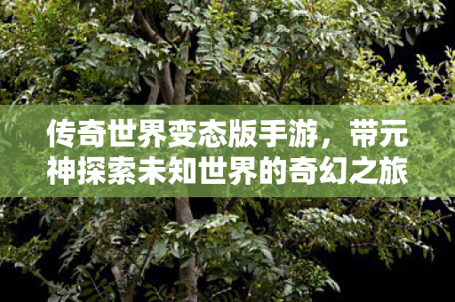 带元神探索未知世界的奇幻之旅图片