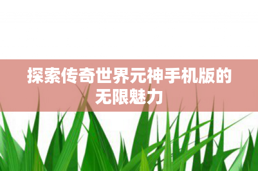 探索传奇世界元神手机版的无限魅力图片