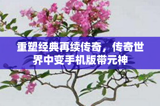 传奇世界中变手机版带元神图片