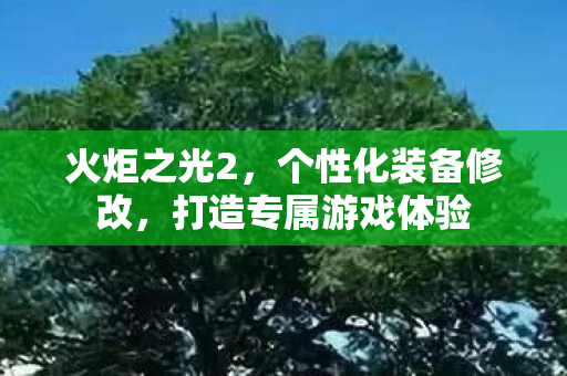 打造专属游戏体验图片