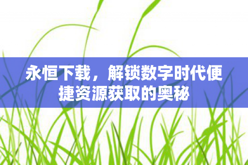 解锁数字时代便捷资源获取的奥秘图片