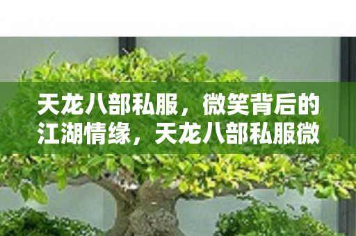 天龙八部私服，微笑背后的江湖情缘，天龙八部私服微笑背后的江湖情缘，揭秘游戏背后的情感纠葛