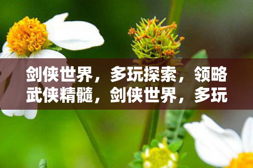 领略武侠精髓图片