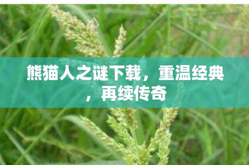 熊猫人之谜下载图片