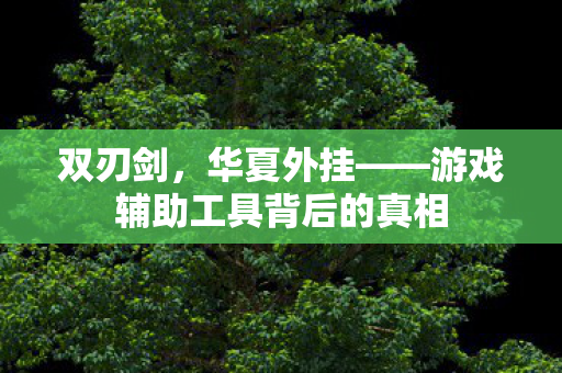 游戏辅助工具背后的真相图片