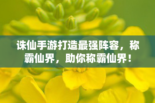诛仙手游打造最强阵容图片