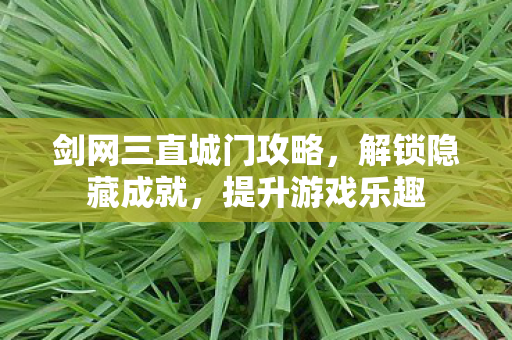 剑网三直城门攻略图片