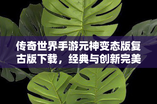 传奇世界手游元神变态版复古版下载图片