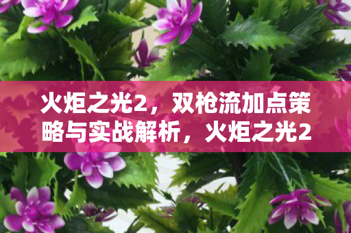 火炬之光2双枪流加点策略与实战全解析图片