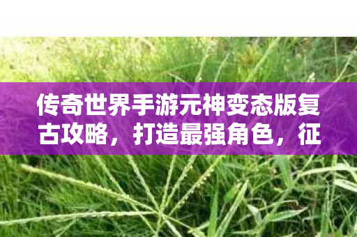 传奇世界手游元神变态版复古攻略图片