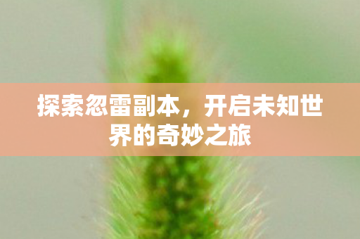 开启未知世界的奇妙之旅图片