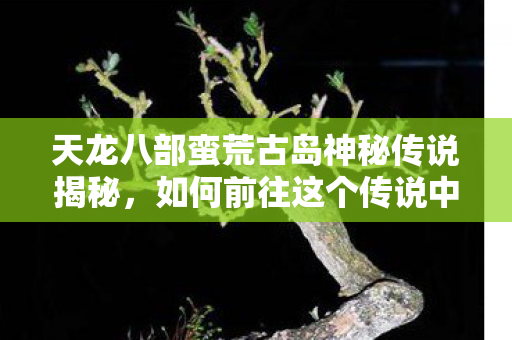 天龙八部蛮荒古岛神秘传说揭秘图片