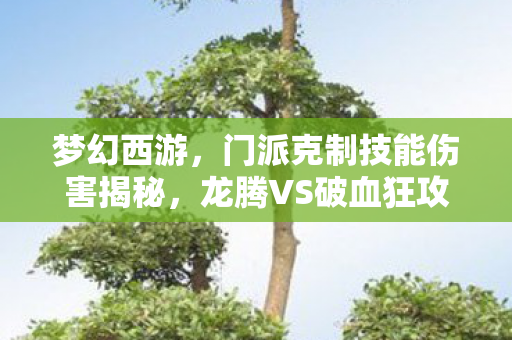 门派克制技能伤害揭秘图片