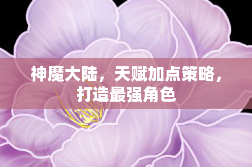天赋加点策略图片