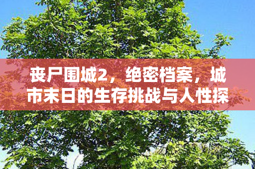 城市末日下的生存挑战与人性探索图片
