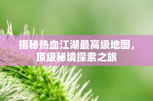 揭秘热血江湖最高级地图图片
