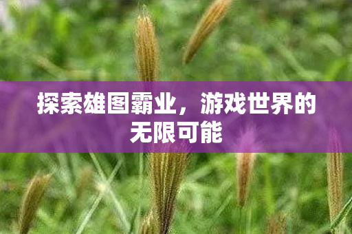 游戏世界的无限可能图片