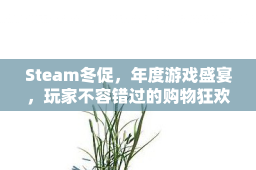 玩家不容错过的购物狂欢图片