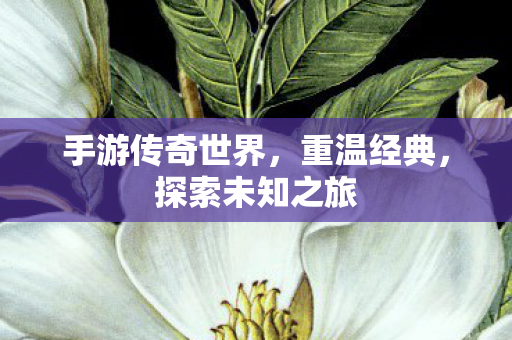 手游传奇世界图片