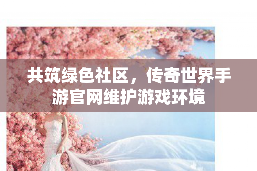 传奇世界手游官网维护游戏环境图片