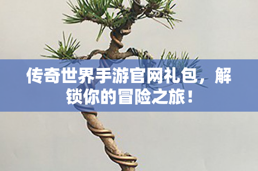 传奇世界手游官网礼包图片