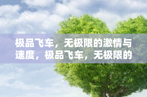 无极限的激情与速度盛宴图片