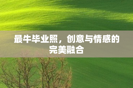 创意与情感的完美融合图片