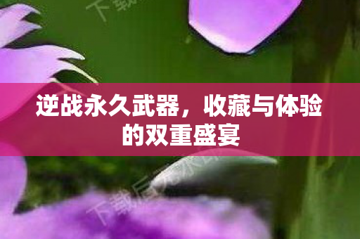 收藏与体验的双重盛宴图片