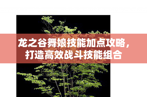龙之谷舞娘技能加点攻略图片