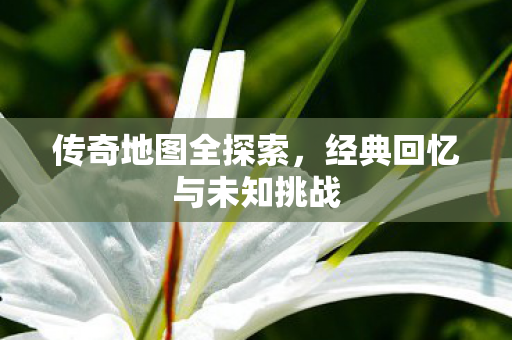经典回忆与未知挑战图片