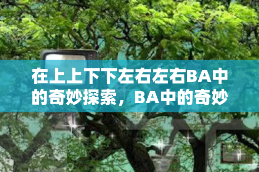 在上上下下左右左右BA中的奇妙探索图片