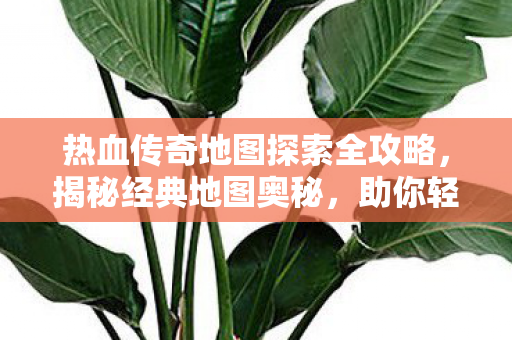 热血传奇地图探索全攻略图片