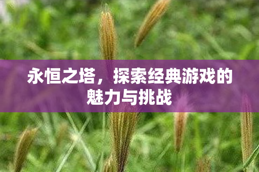探索经典游戏的魅力与挑战图片