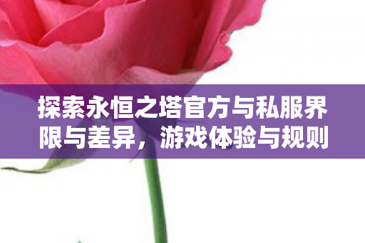探索永恒之塔官方与私服界限与差异图片