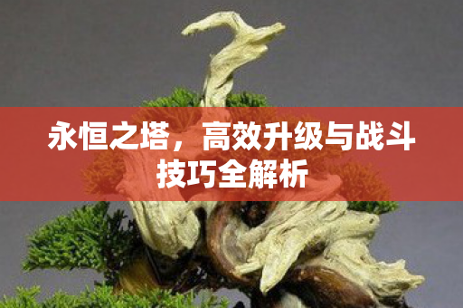 高效升级与战斗技巧全解析图片