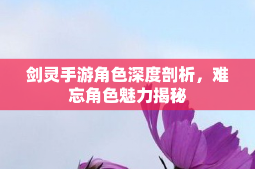 剑灵手游角色深度剖析图片