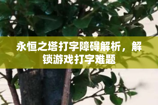 永恒之塔打字障碍解析图片
