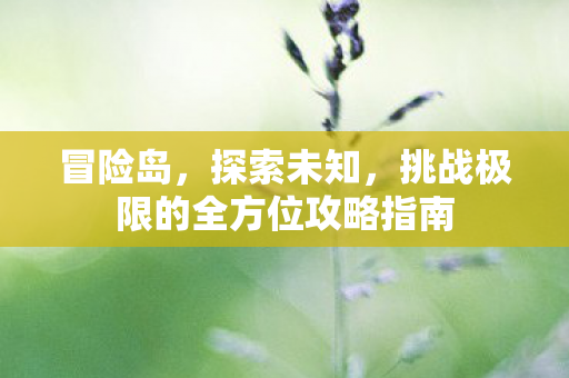 挑战极限的全方位攻略指南图片