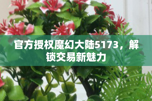 官方授权魔幻大陆5173图片