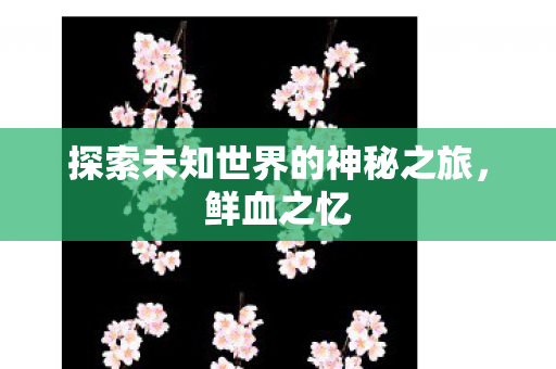 探索未知世界的神秘之旅图片
