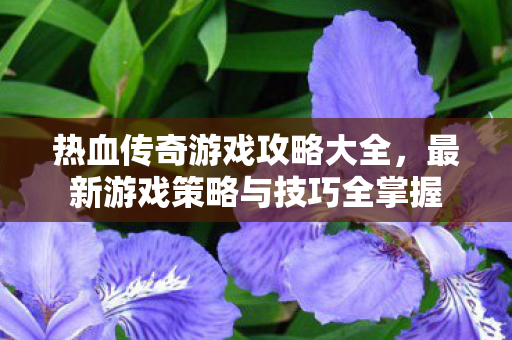 最新游戏策略与技巧全掌握图片