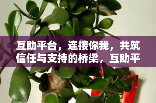 共筑信任与支持的桥梁图片